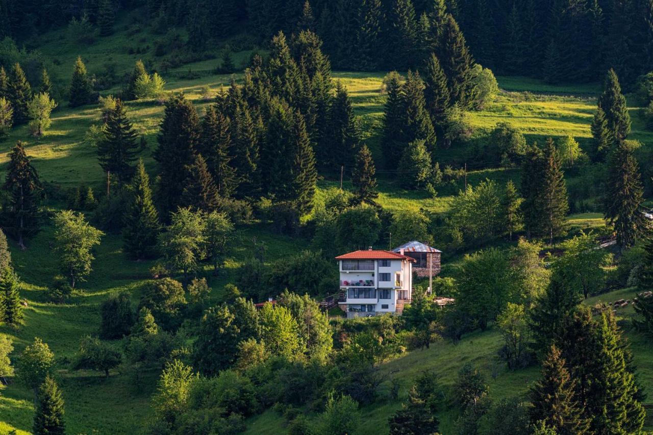 Guest House Panorama Гела Екстер'єр фото