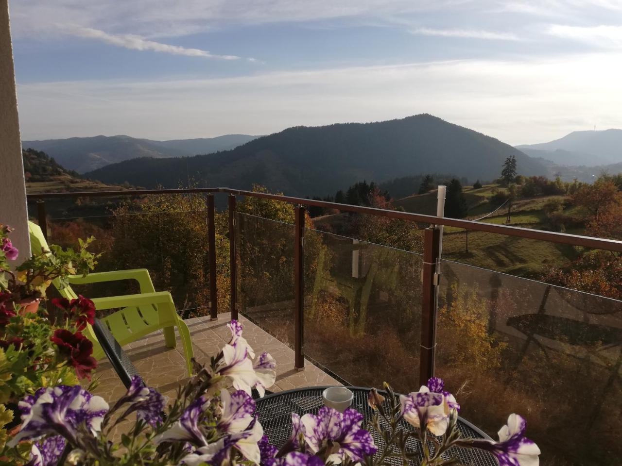 Guest House Panorama Гела Екстер'єр фото