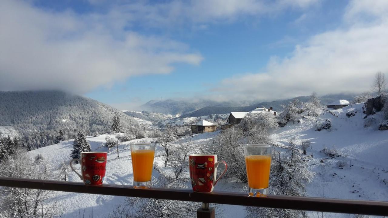 Guest House Panorama Гела Екстер'єр фото